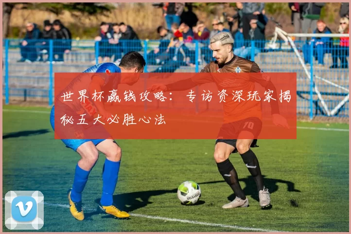 世界杯赢钱攻略:专访资深玩家揭秘五大必胜心法
