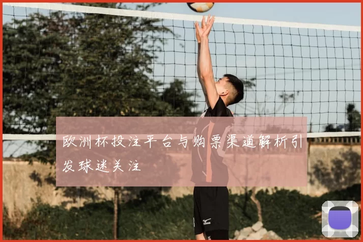 欧洲杯投注平台与购票渠道解析引发球迷关注