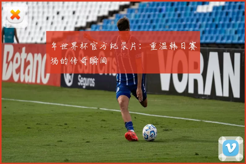 年世界杯官方纪录片：重温韩日赛场的传奇瞬间