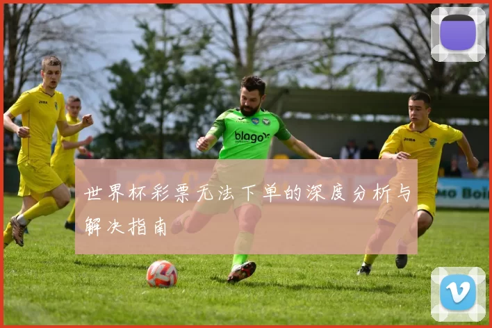 世界杯彩票无法下单的深度分析与解决指南