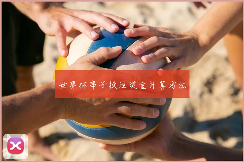 世界杯串子投注奖金计算方法