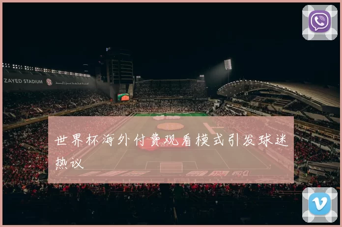 世界杯海外付费观看模式引发球迷热议