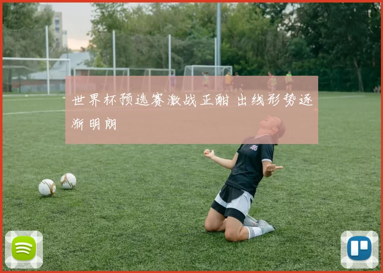 世界杯预选赛激战正酣 出线形势逐渐明朗