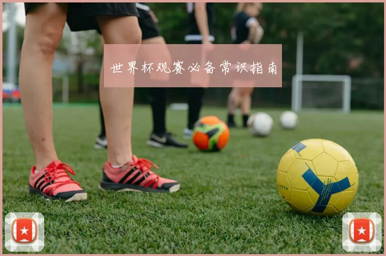 世界杯观赛必备常识指南