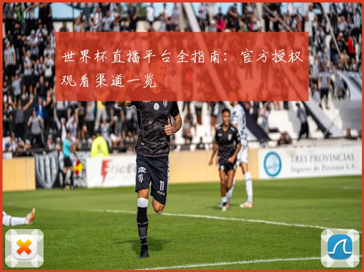 世界杯直播平台全指南：官方授权观看渠道一览