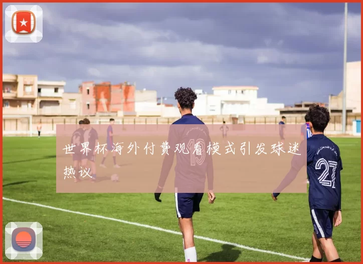 世界杯海外付费观看模式引发球迷热议