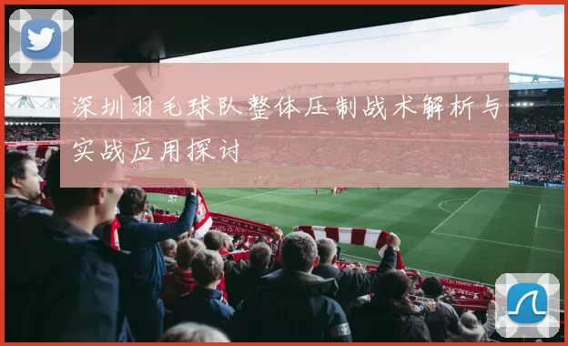 深圳羽毛球队整体压制战术解析与实战应用探讨
