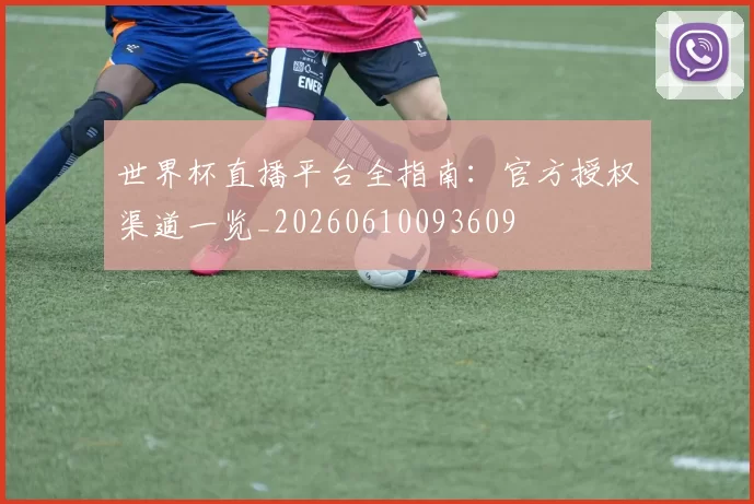 世界杯直播平台全指南：官方授权渠道一览_20260610093609
