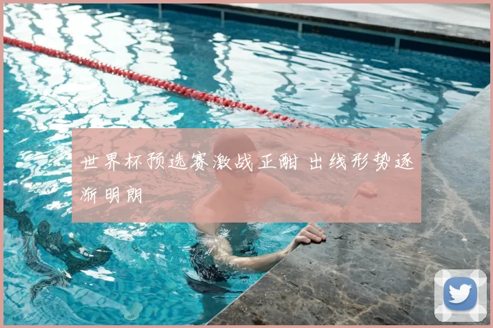 世界杯预选赛激战正酣 出线形势逐渐明朗