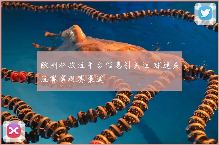 欧洲杯投注平台信息引关注 球迷关注赛事观赛渠道