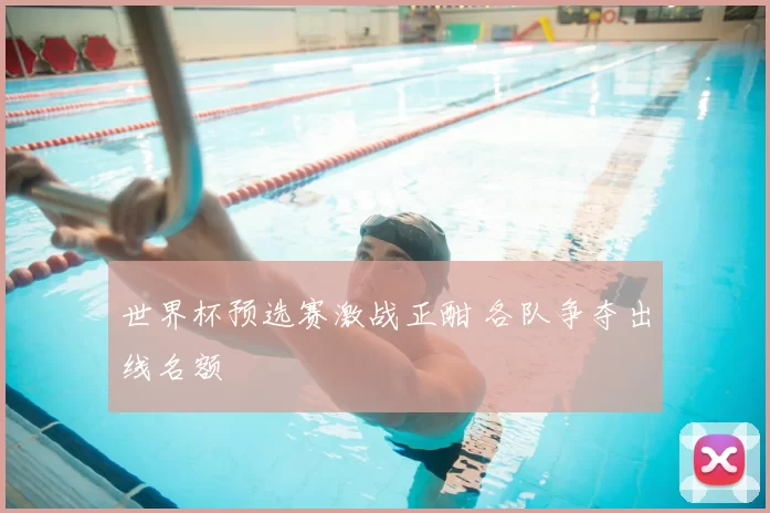 世界杯预选赛激战正酣 各队争夺出线名额