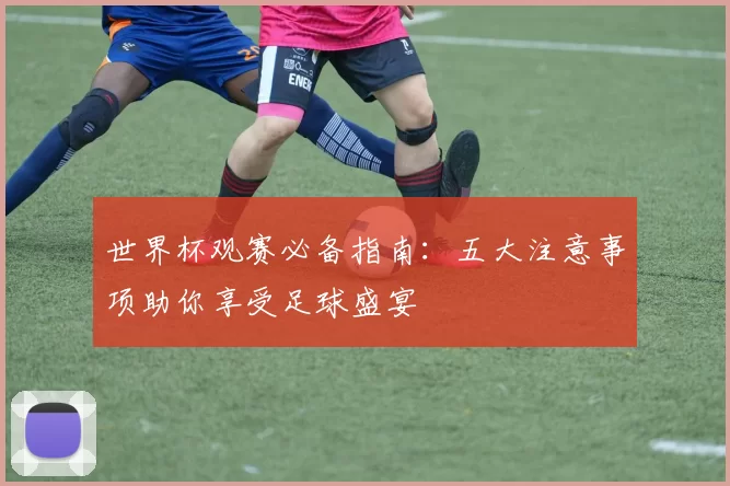 世界杯观赛必备指南:五大注意事项助你享受足球盛宴