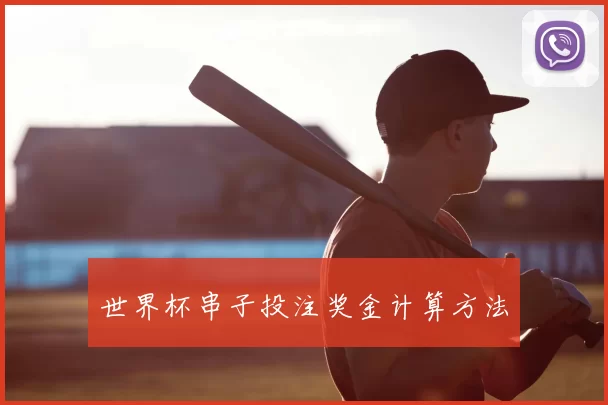 世界杯串子投注奖金计算方法