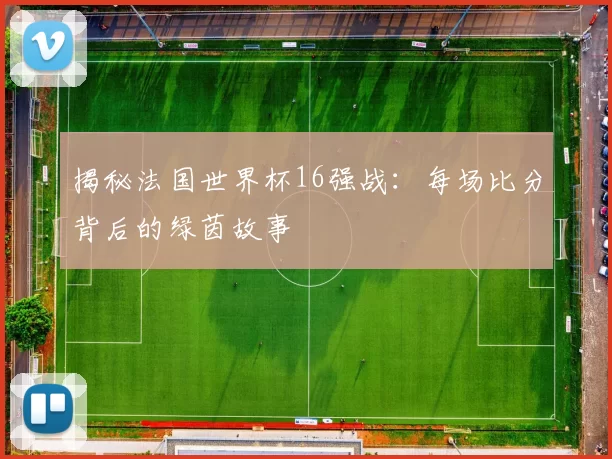 揭秘法国世界杯16强战:每场比分背后的绿茵故事