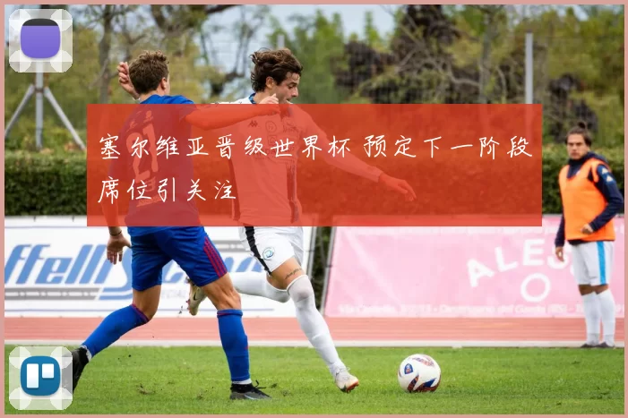 塞尔维亚晋级世界杯 预定下一阶段席位引关注