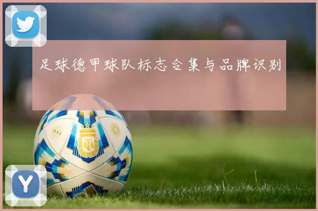 足球德甲球队标志合集与品牌识别