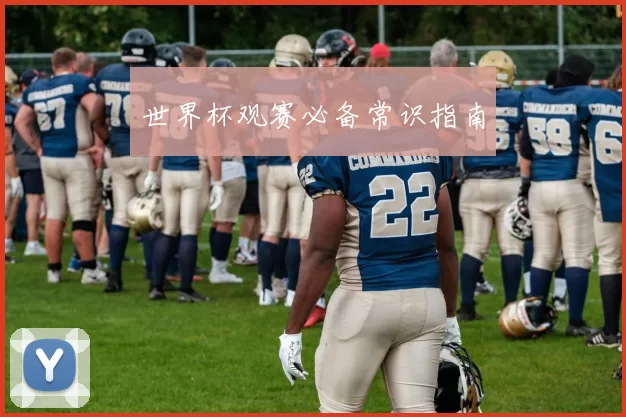 世界杯观赛必备常识指南