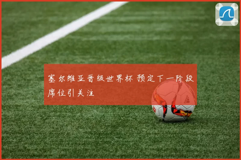 塞尔维亚晋级世界杯 预定下一阶段席位引关注