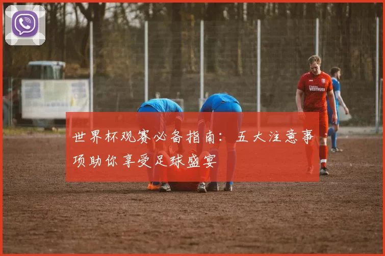 世界杯观赛必备指南:五大注意事项助你享受足球盛宴